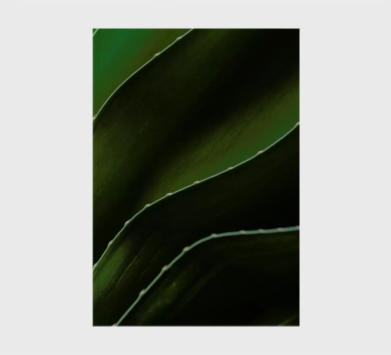 Layered Leaves 2 notebook by Nur Mut