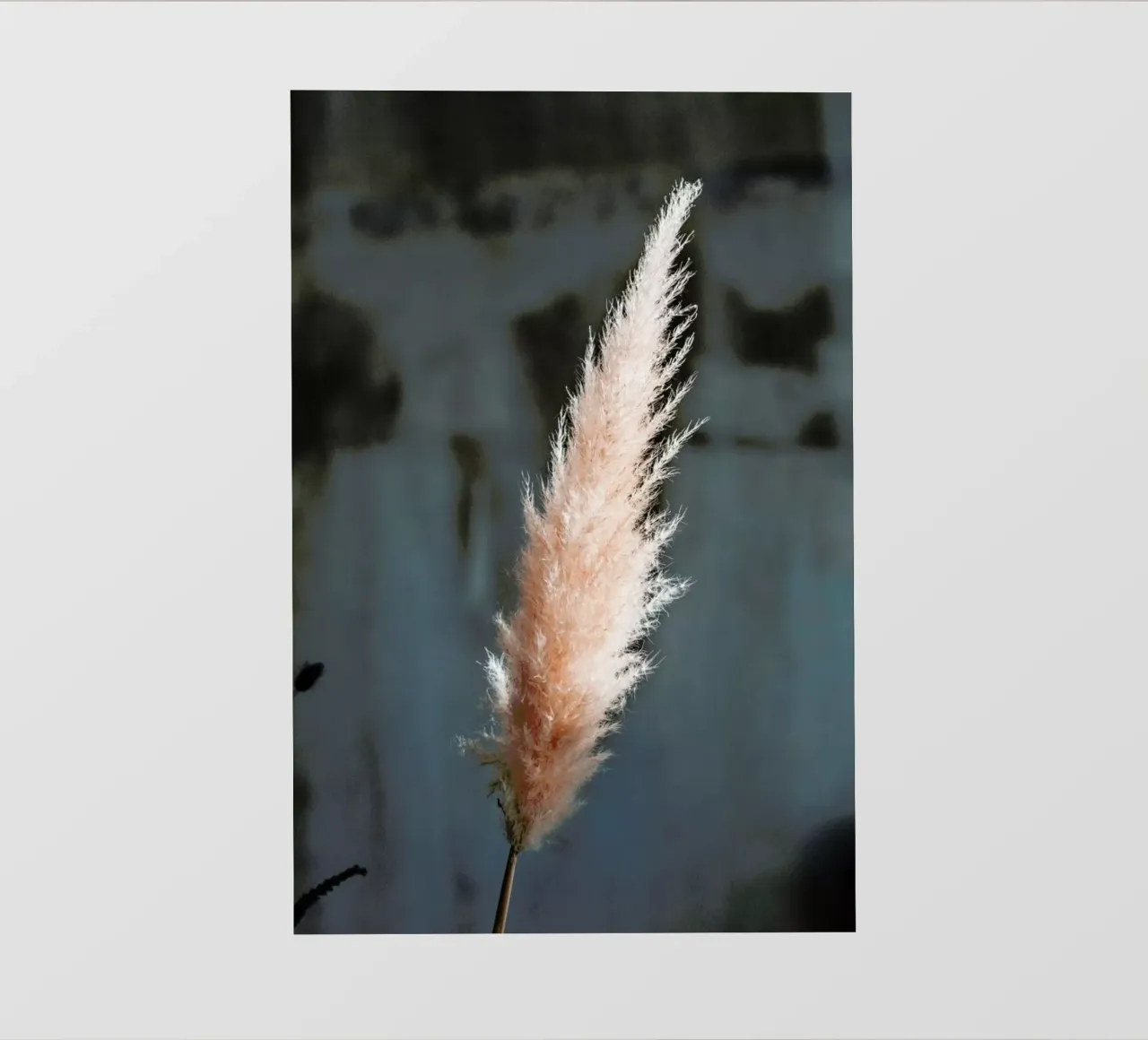 The Fluff telo in pvc da Sebastian Hilgetag
