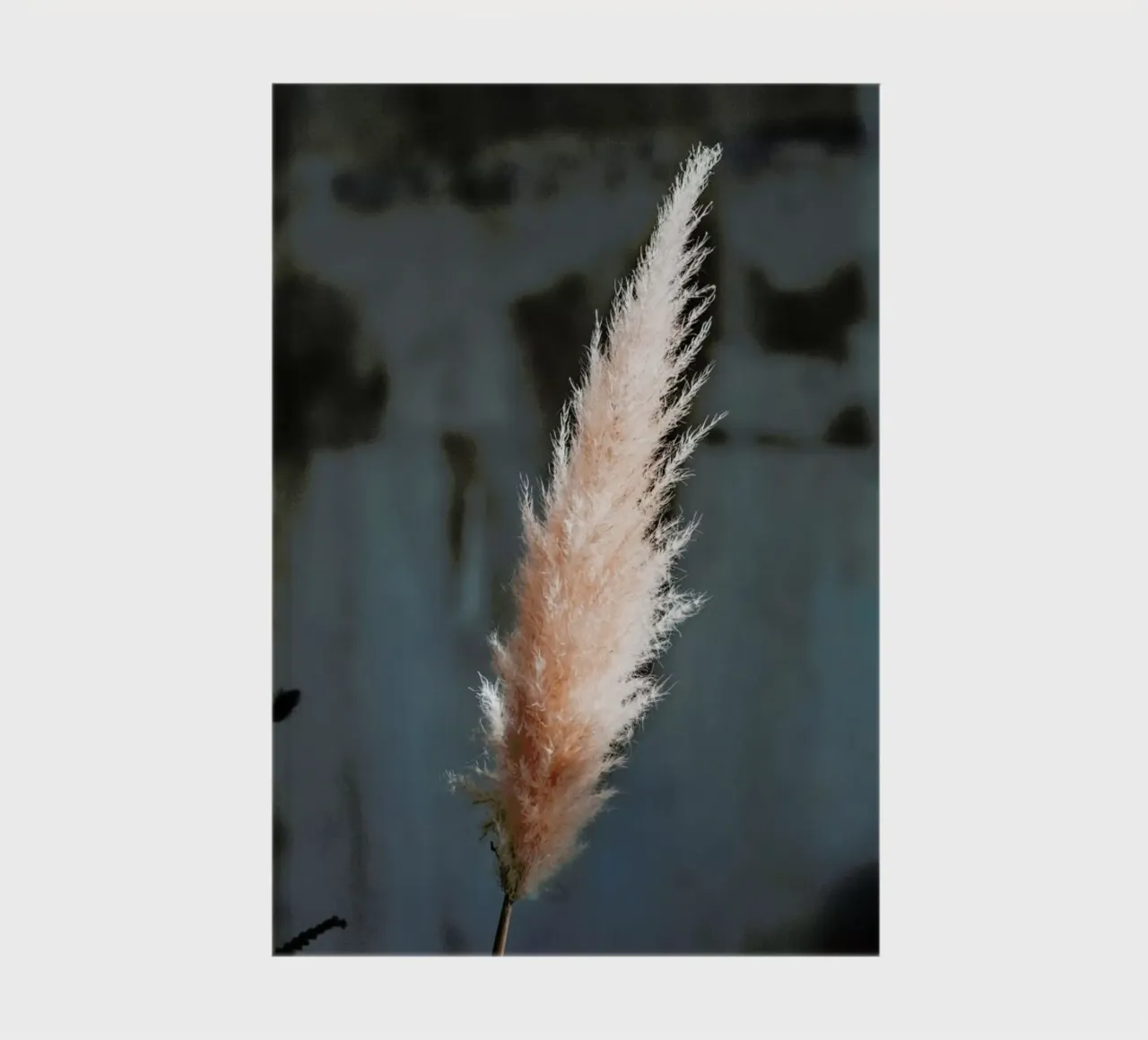 The Fluff notebook by Sebastian Hilgetag