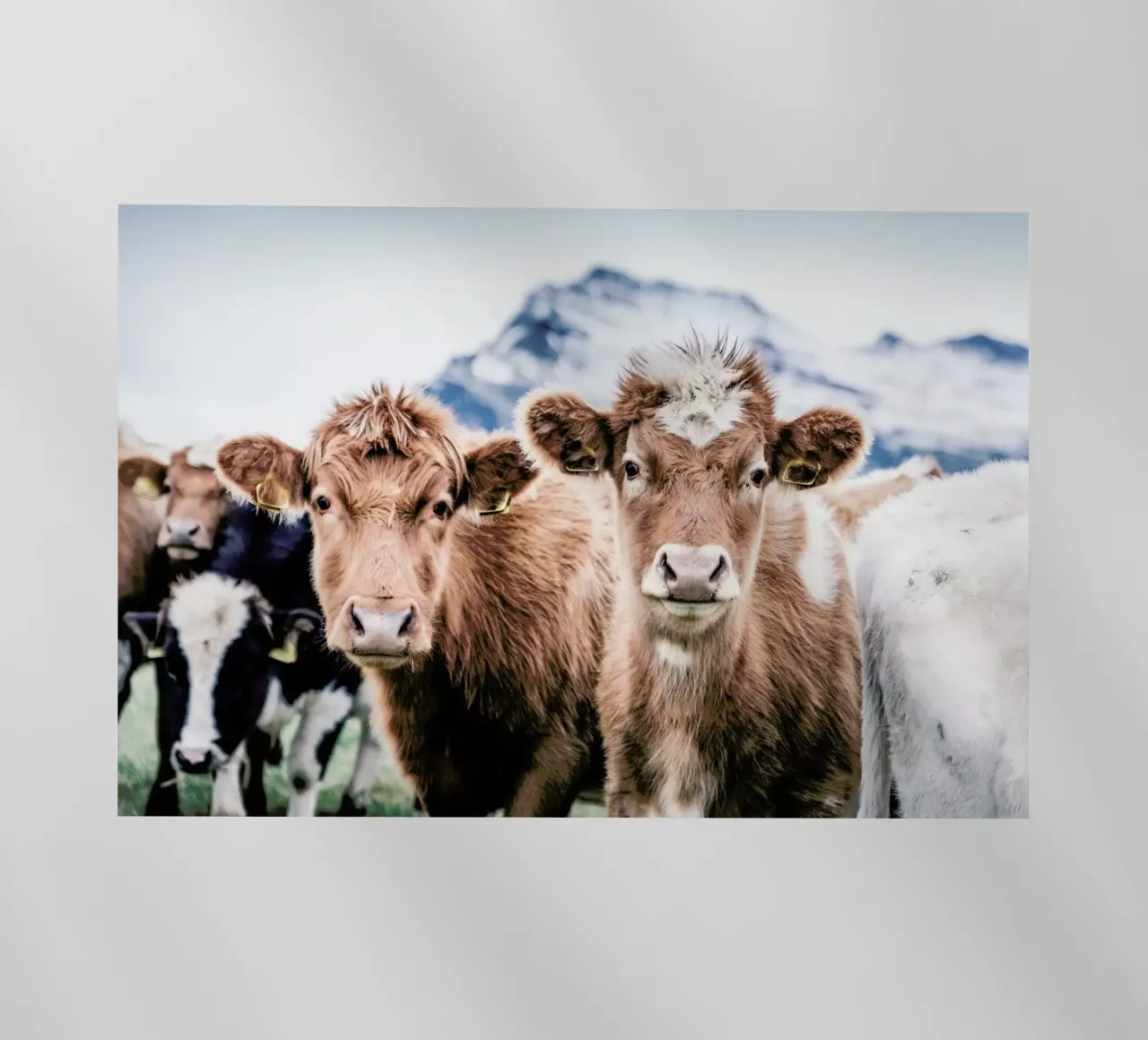 Double Trouble backlit folie van Natural Kingdom