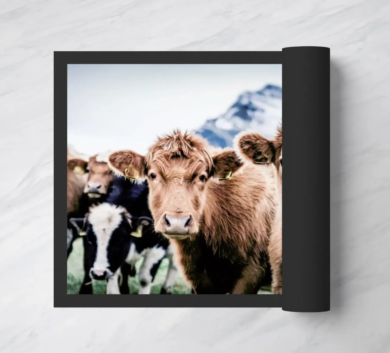 Double Trouble zerbino da Natural Kingdom