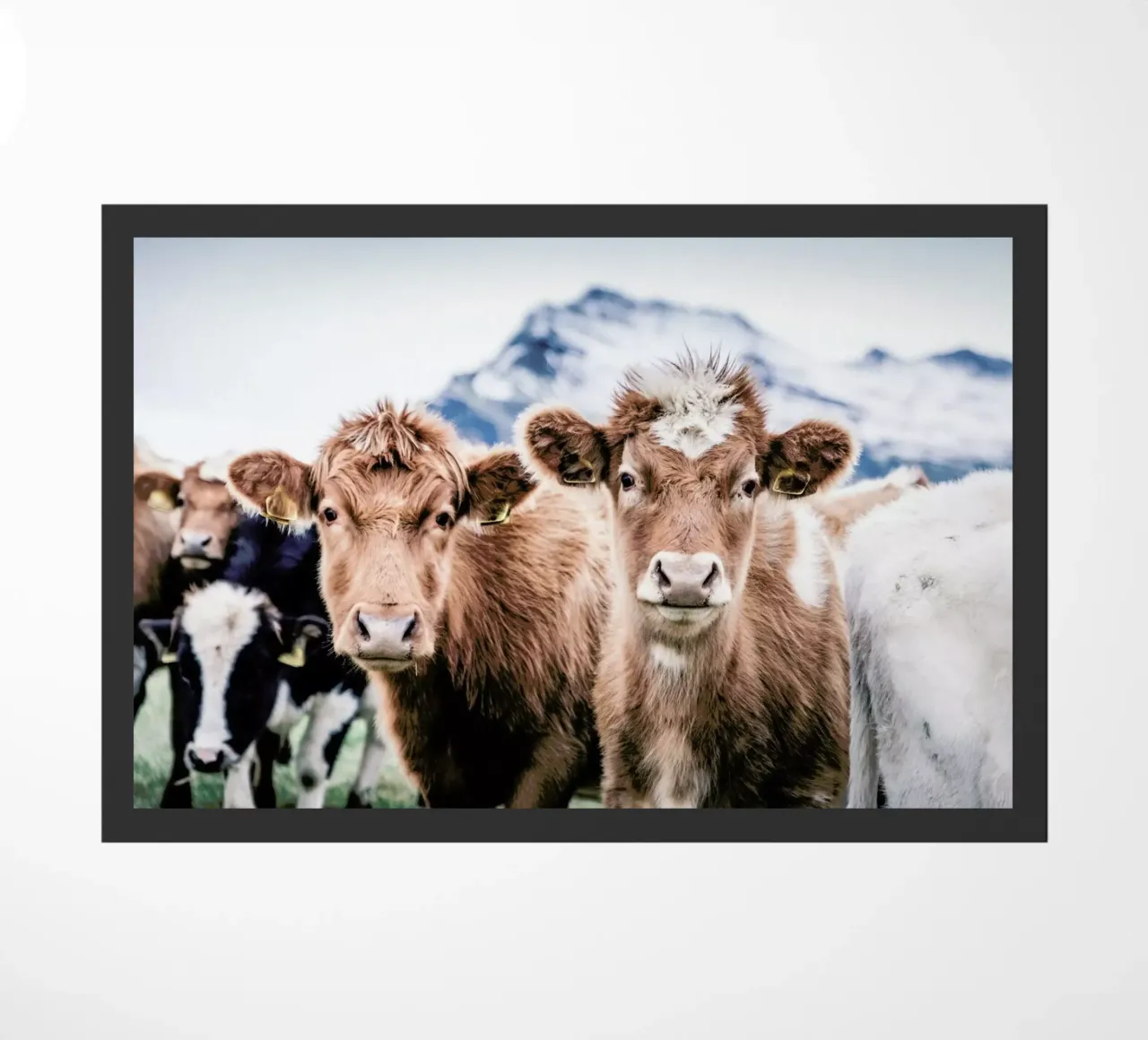 Double Trouble zerbino da Natural Kingdom