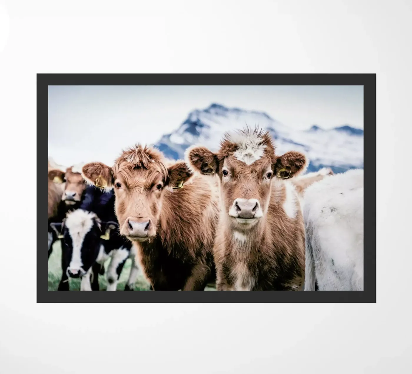 Double Trouble deurmat van Natural Kingdom