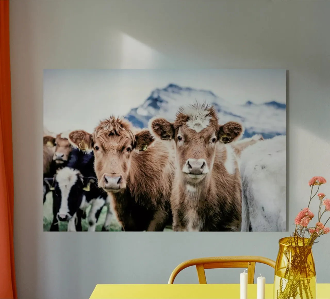 Double Trouble plexiglass da Natural Kingdom