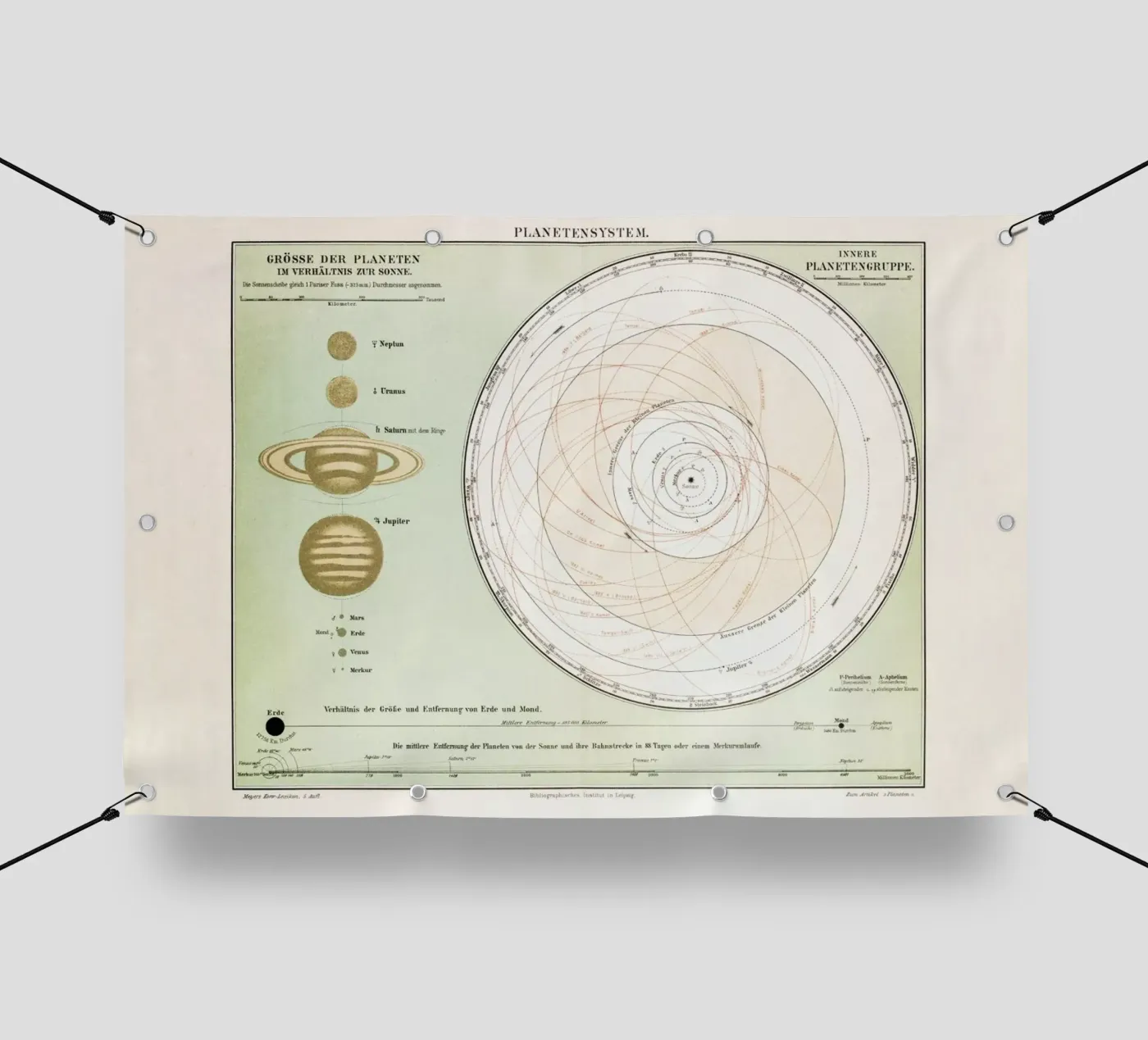 Planetensystem PVC Plane von Flora & Fauna