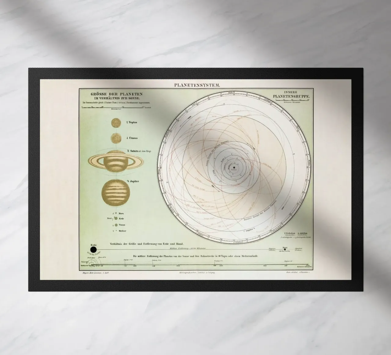 Planetensystem zerbino da Flora & Fauna