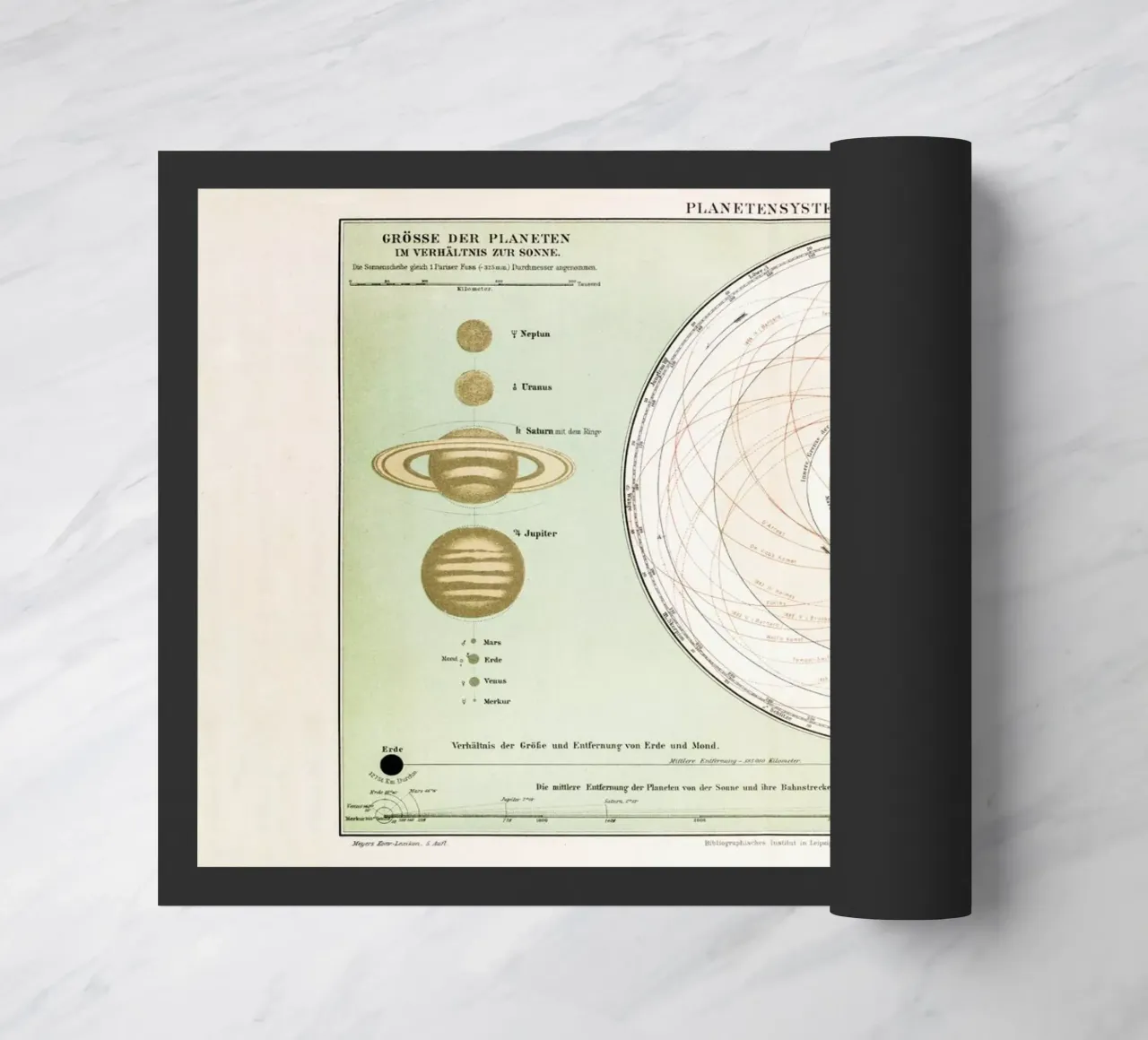 Planetensystem zerbino da Flora & Fauna