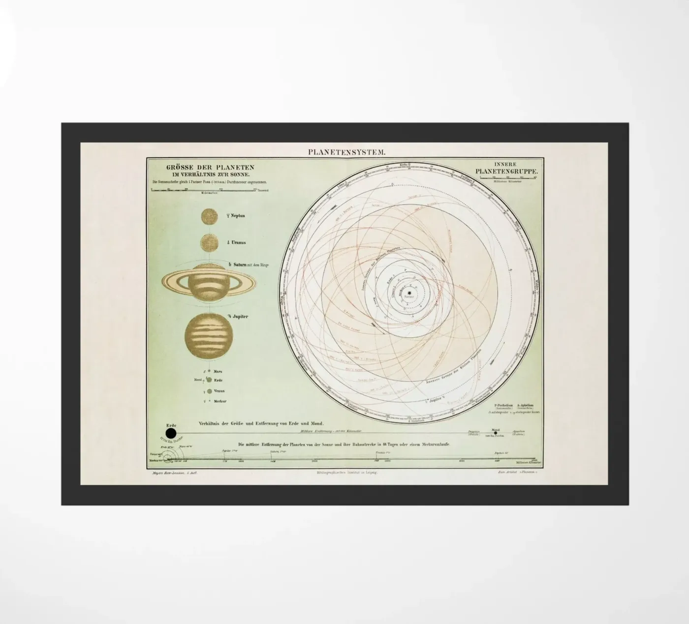 Planetensystem zerbino da Flora & Fauna