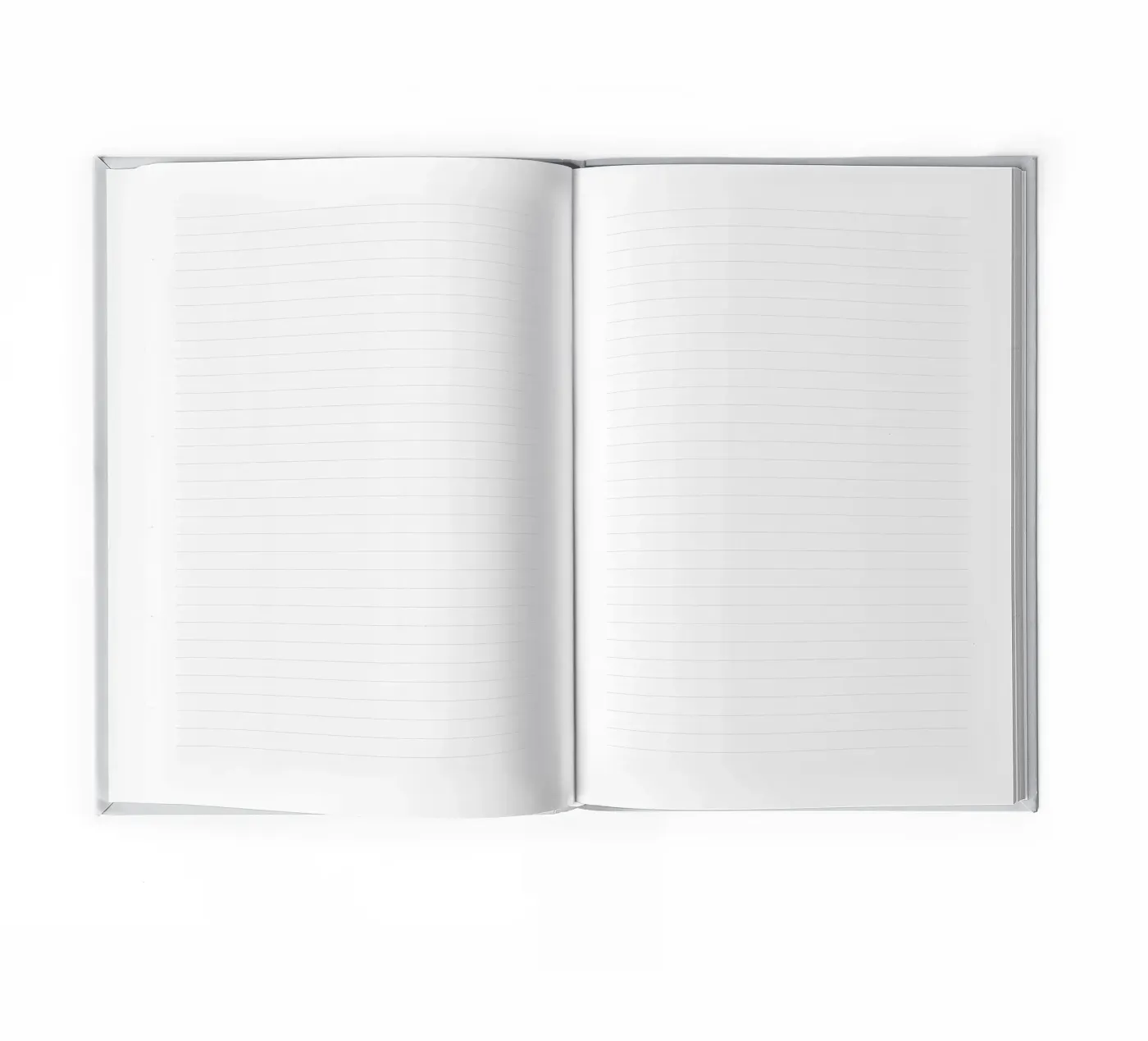 Pluto quaderno da Florent Bodart