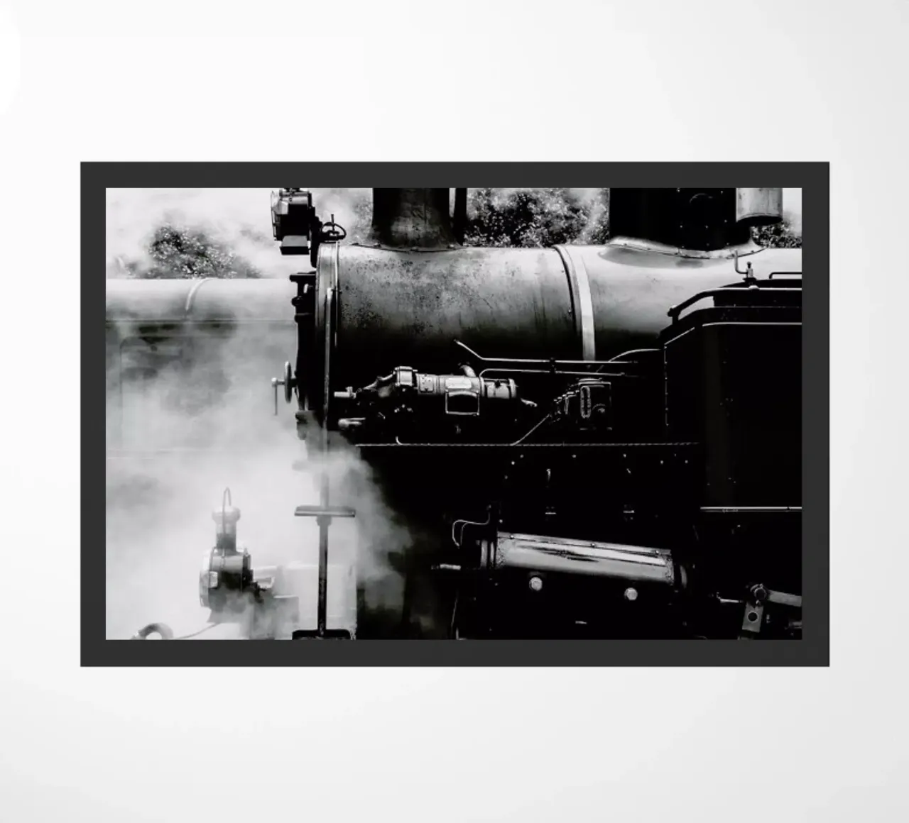 Steam Train zerbino da METROPOLIS