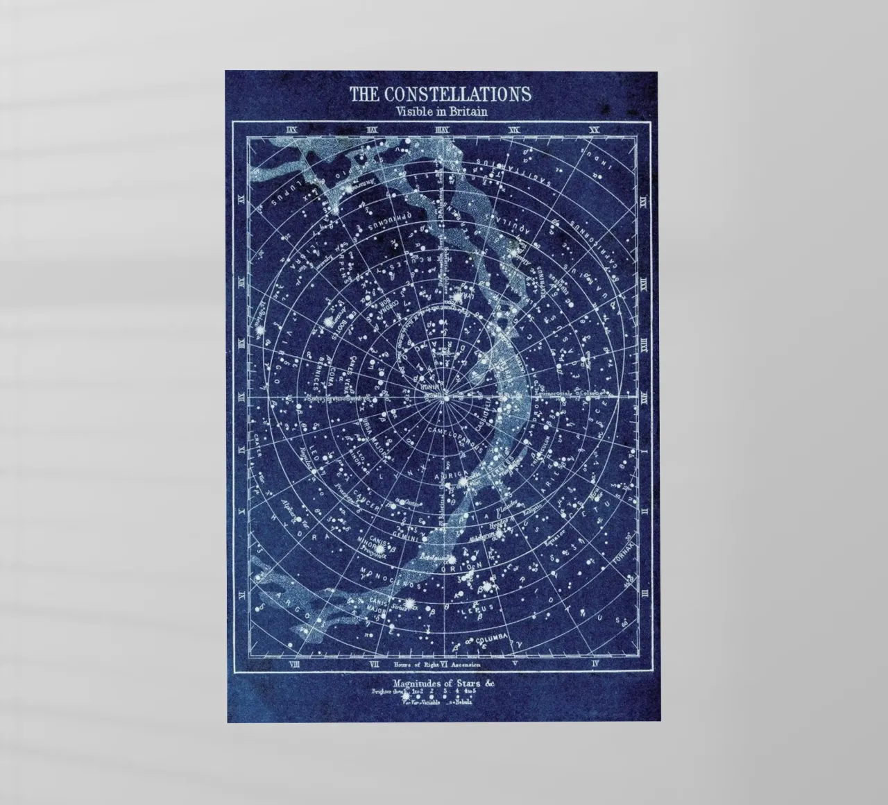 Constellations pellicola backlit da Flora & Fauna