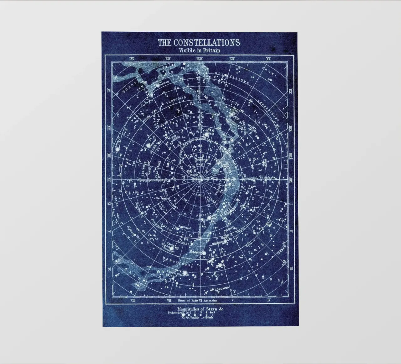 Constellations pellicola backlit da Flora & Fauna