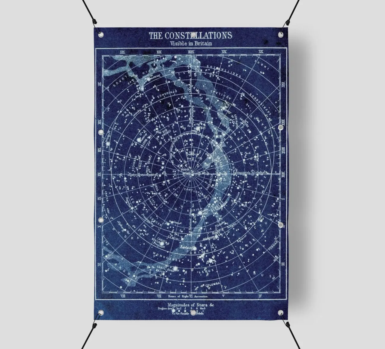 Constellations telo in pvc da Flora & Fauna