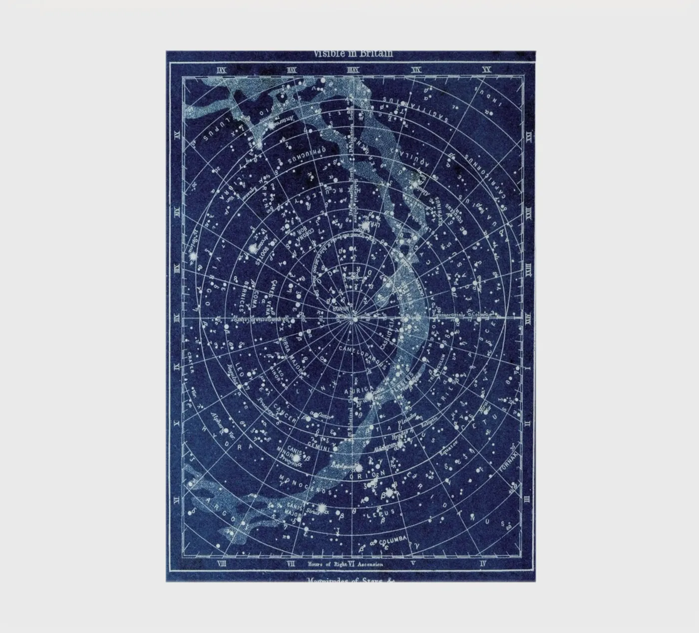 Constellations notebook by Flora & Fauna