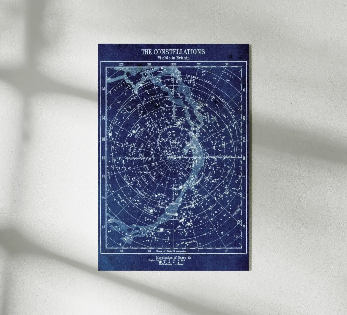 Constellations plexiglass da Flora & Fauna