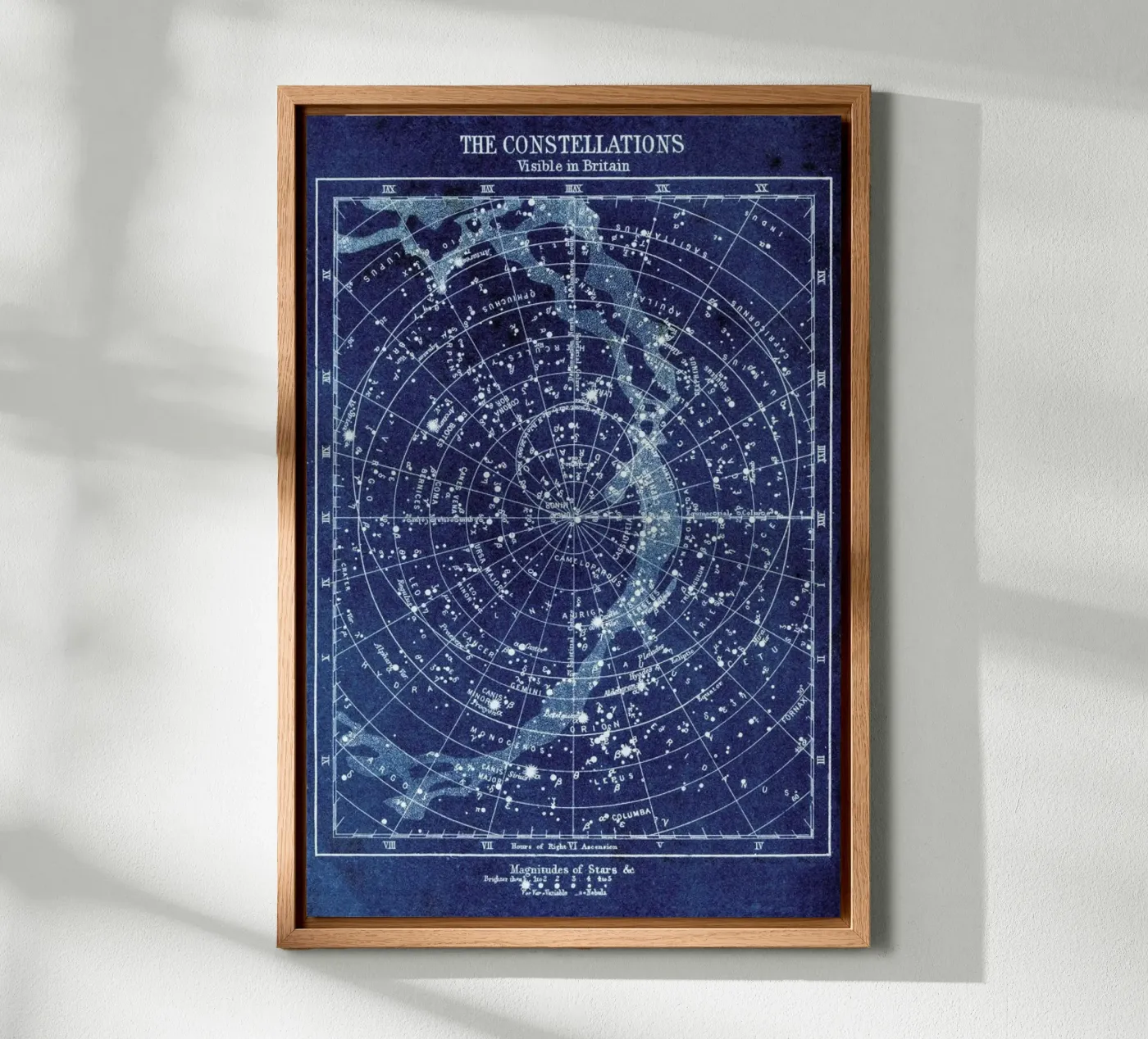 Constellations canvas by Flora & Fauna
