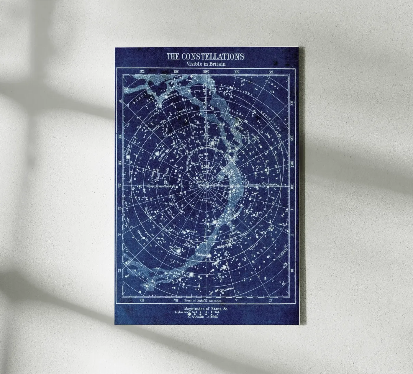 Constellations canvas by Flora & Fauna
