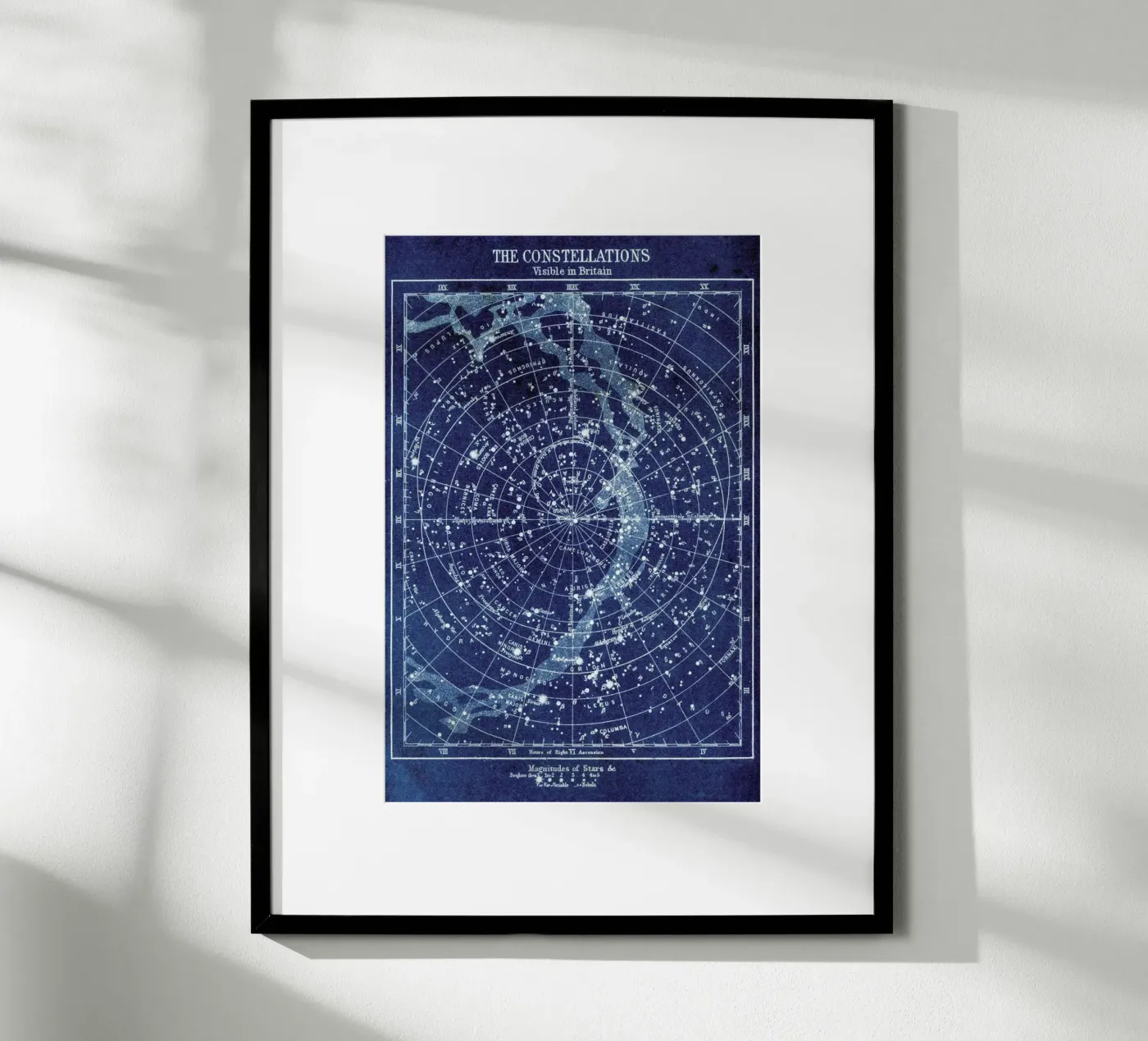 Constellations poster van Flora & Fauna