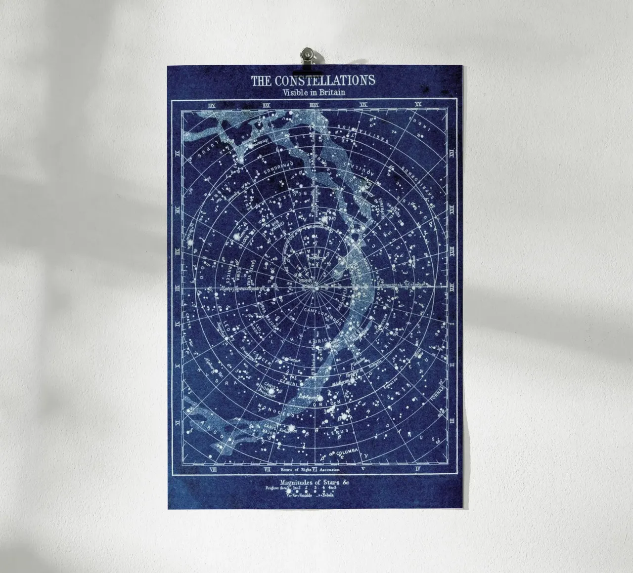 Constellations Poster von Flora & Fauna