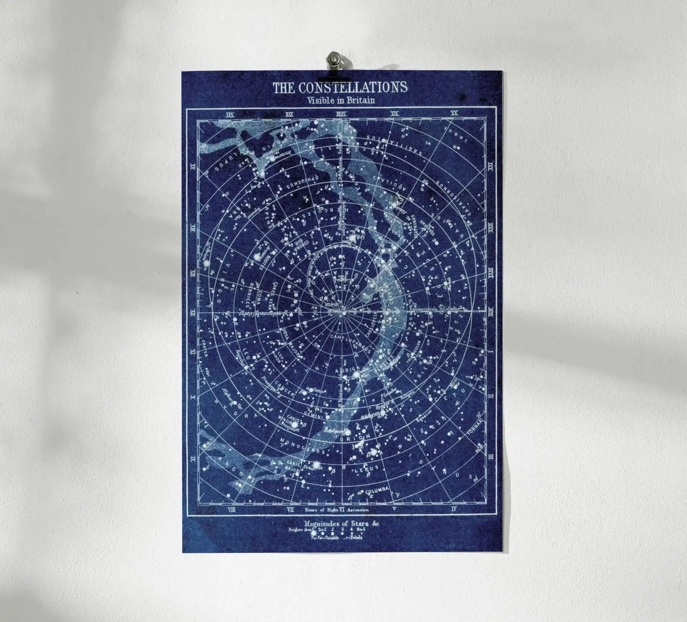 Constellations poster van Flora & Fauna