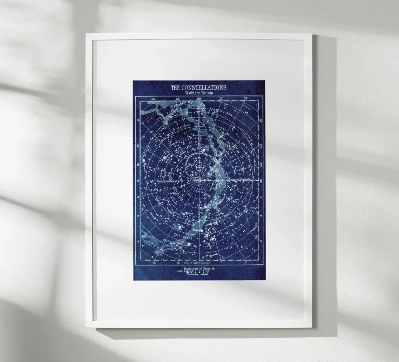 Constellations Poster von Flora & Fauna