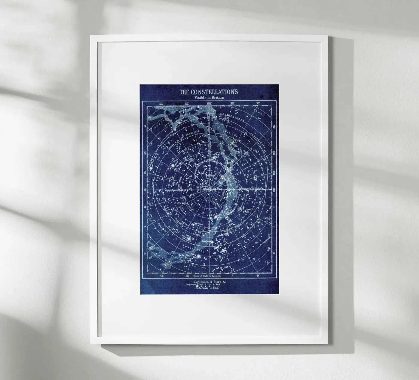 Constellations poster van Flora & Fauna