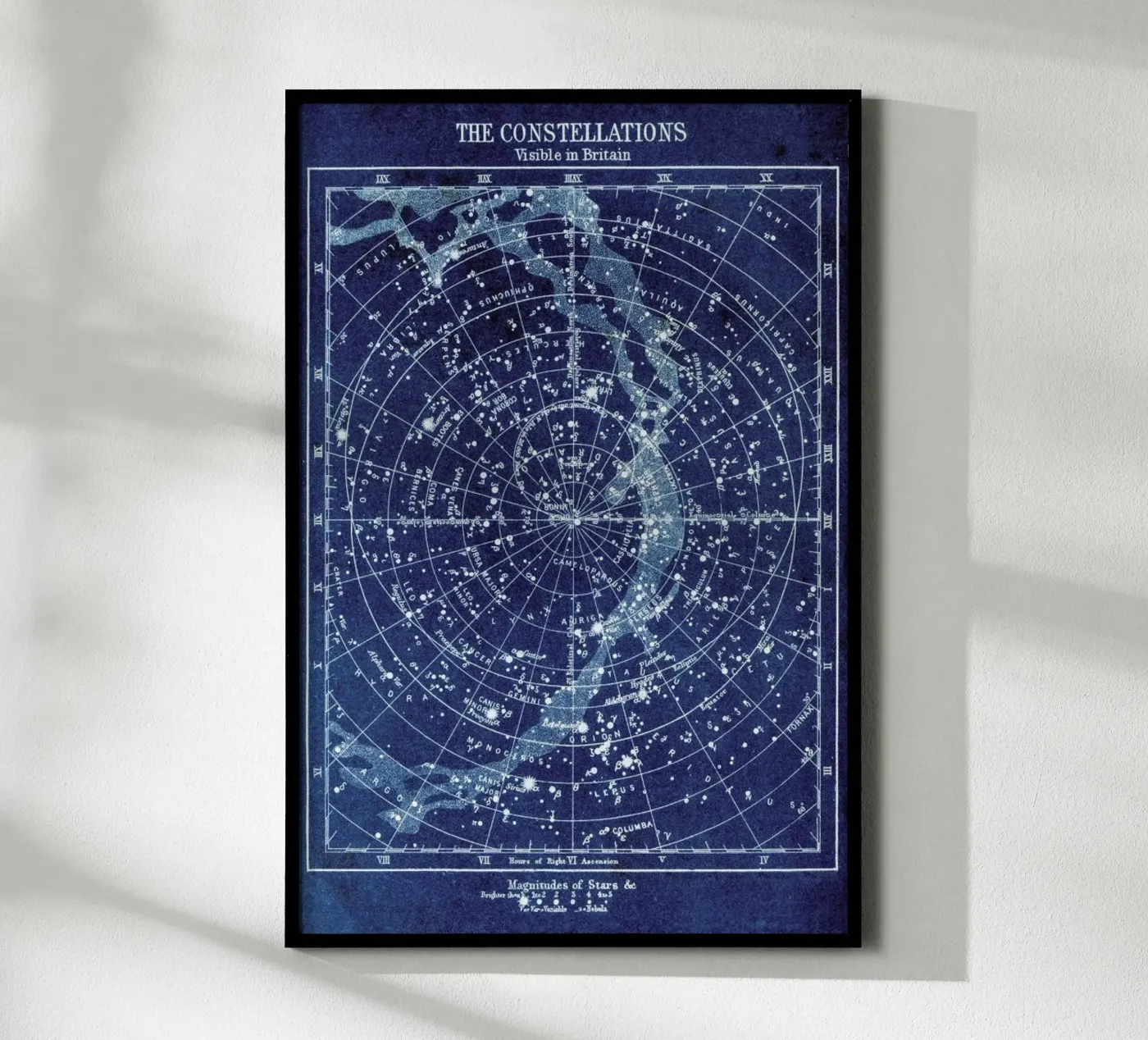 Constellations poster van Flora & Fauna
