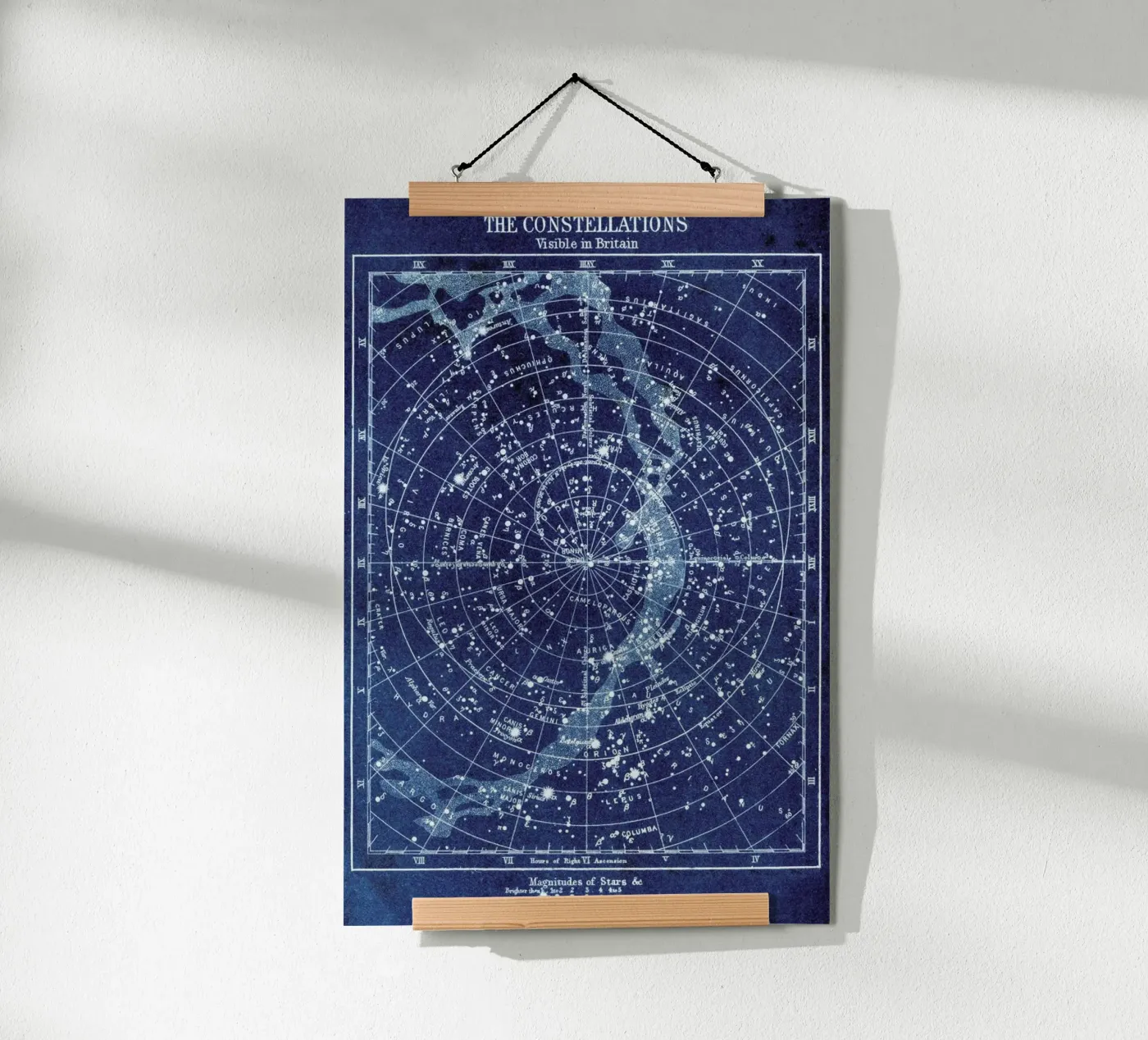 Constellations poster van Flora & Fauna