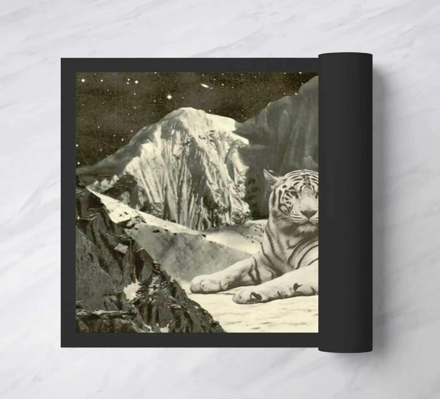 White Tiger zerbino da Florent Bodart