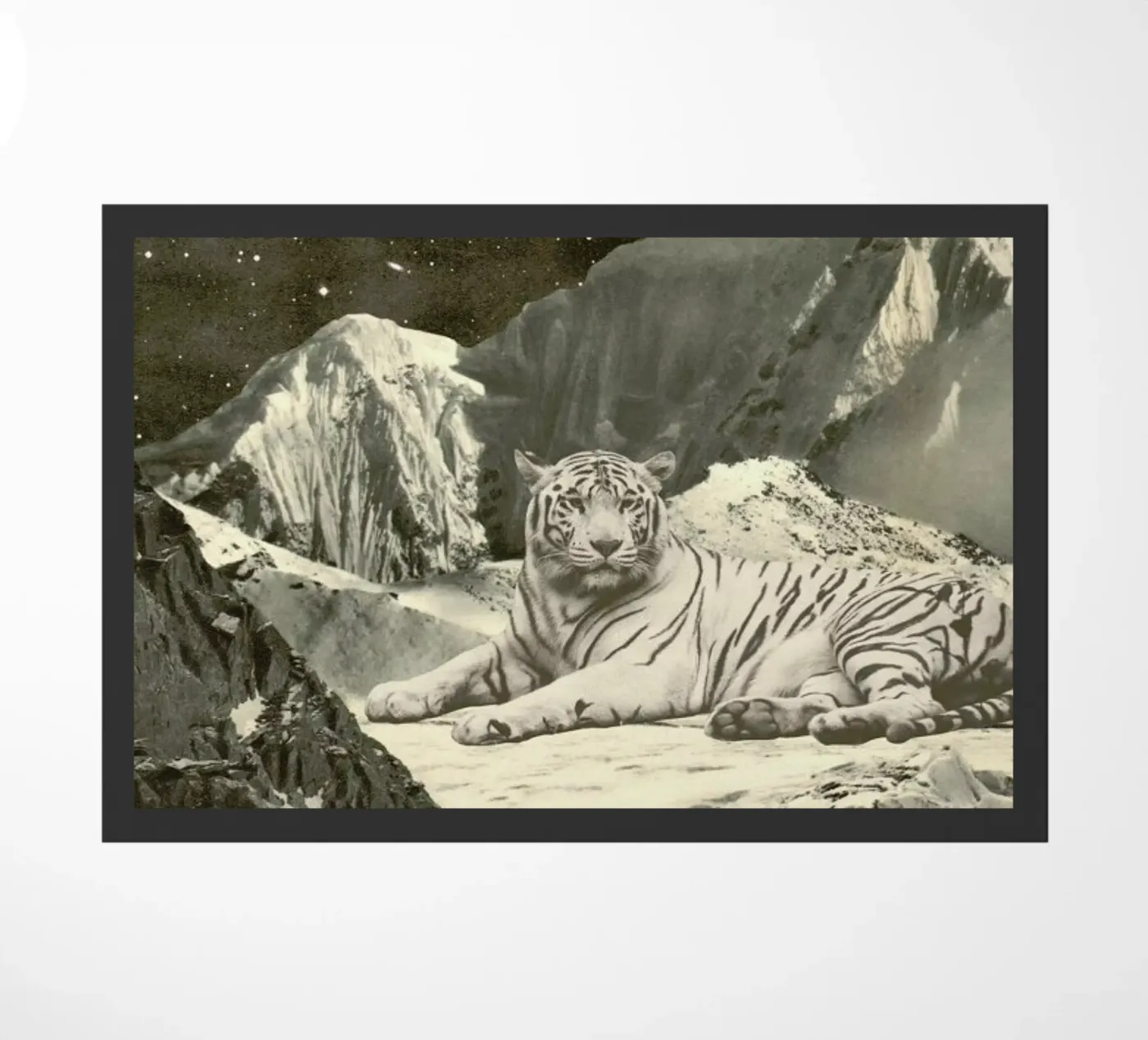 White Tiger zerbino da Florent Bodart