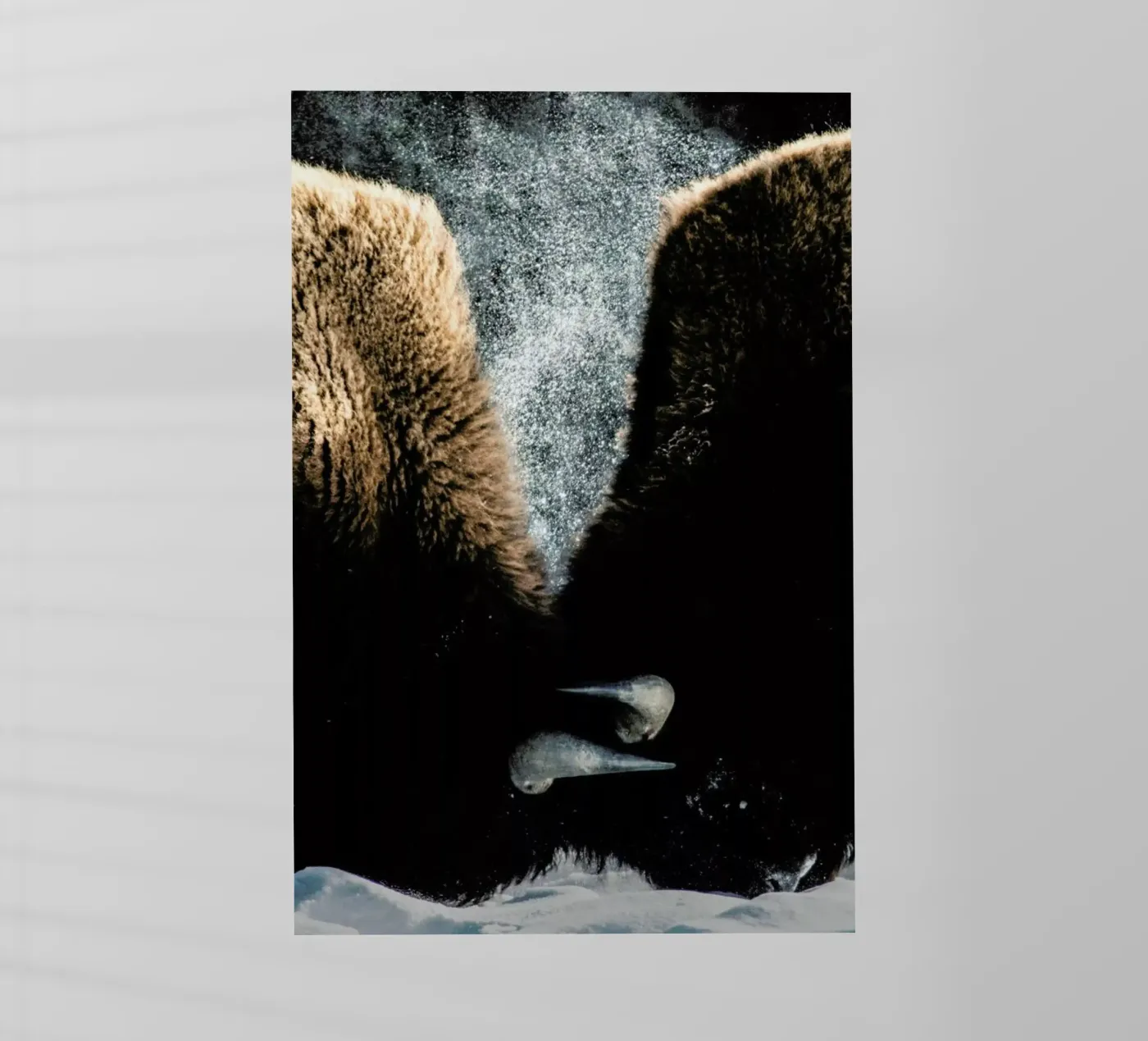 Interlocked Backlit Folie von Natural Kingdom