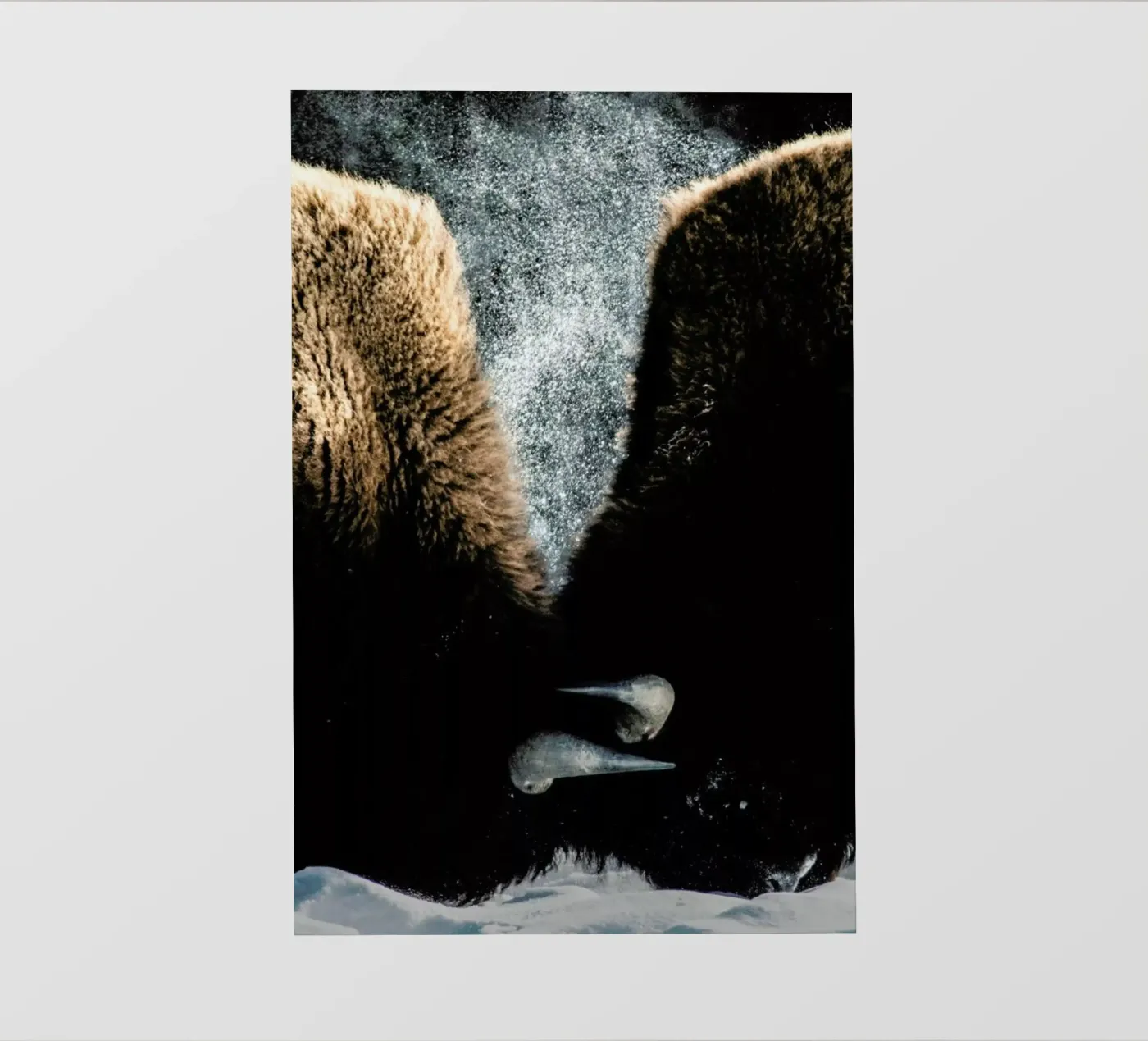 Interlocked Backlit Folie von Natural Kingdom