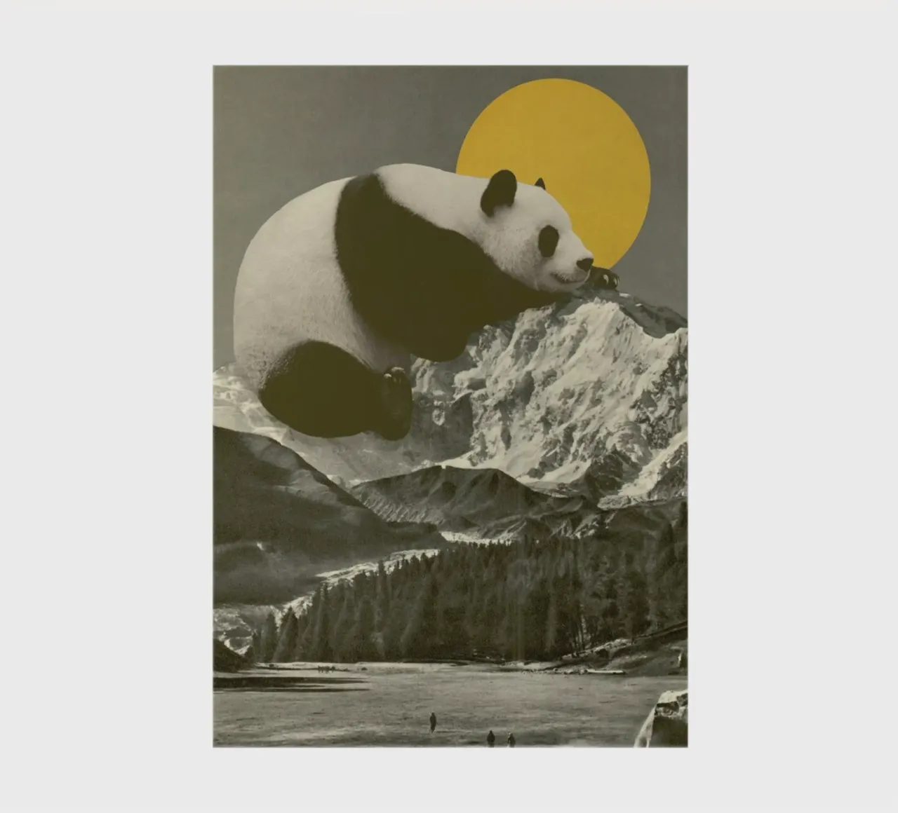 Panda Nap diario da Florent Bodart
