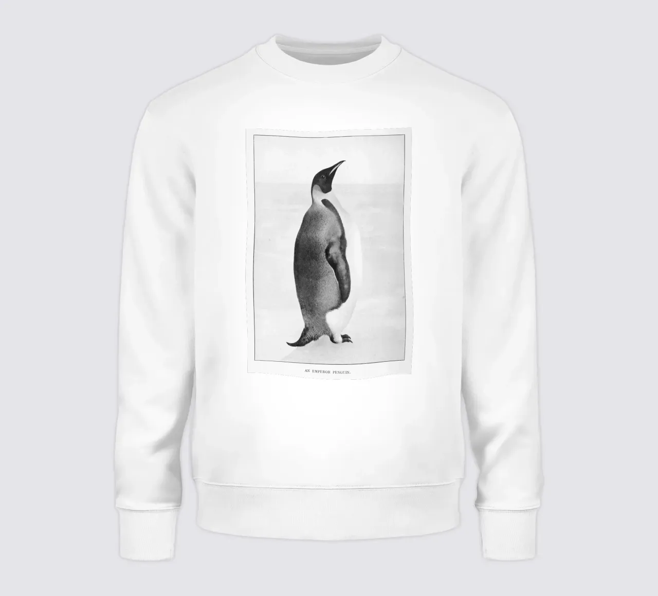 ice cold penguin felpa da vintageshop