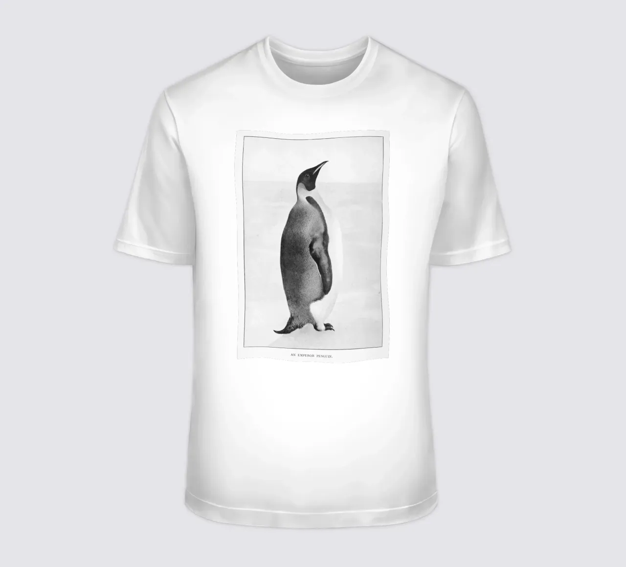 ice cold penguin t-shirt da vintageshop