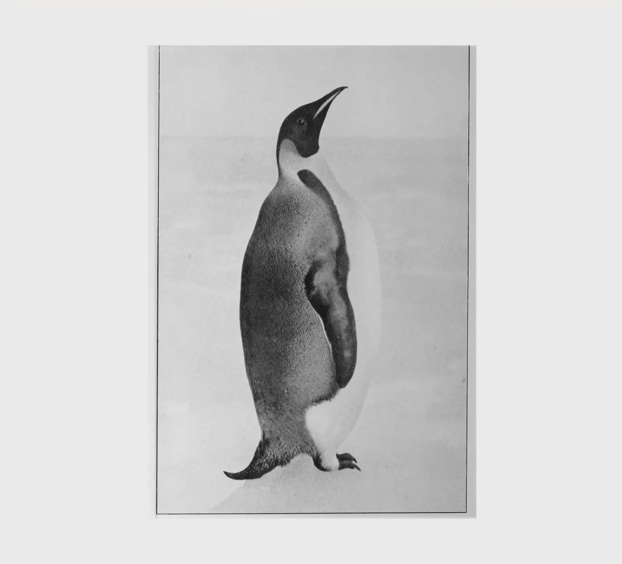 ice cold penguin notebook by vintageshop