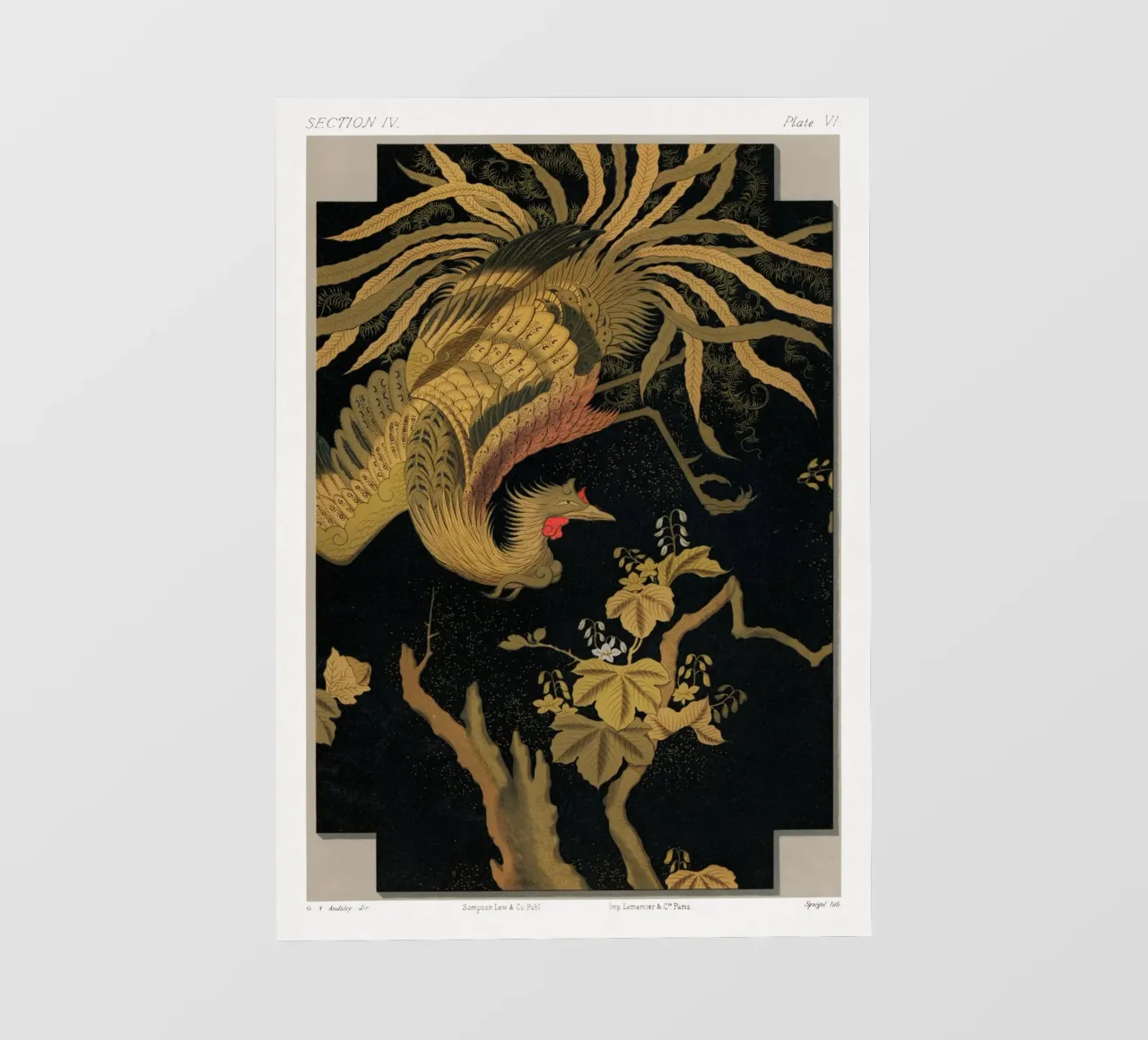 Antique Print of the Mythical pellicola backlit da vintageshop