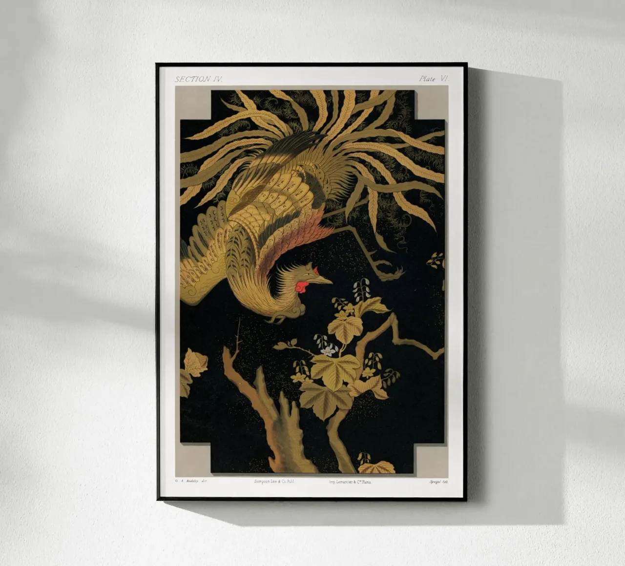 Antique Print of the Mythical plexiglass da vintageshop