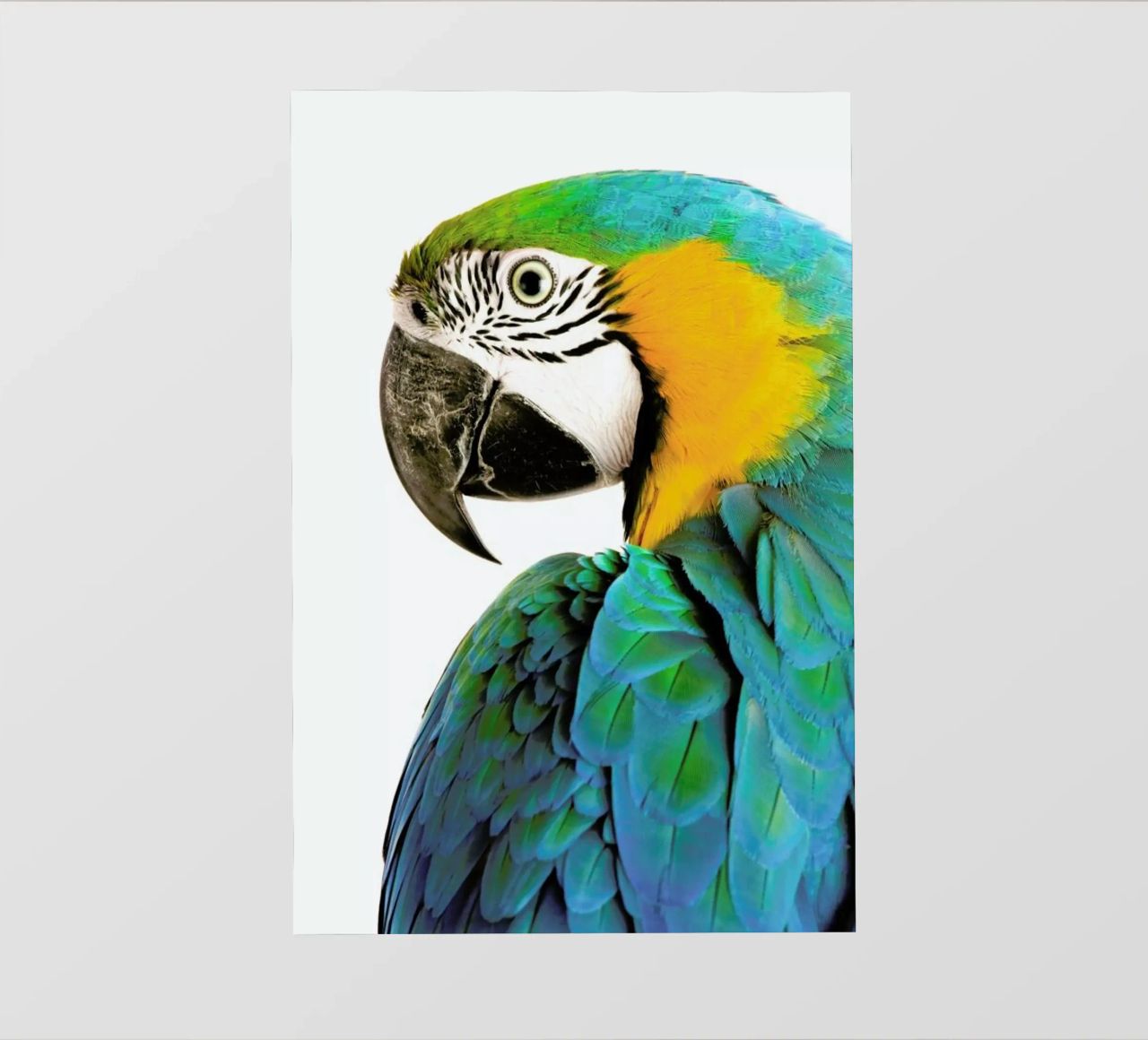 Blues and Oranges telo in pvc da Natural Kingdom