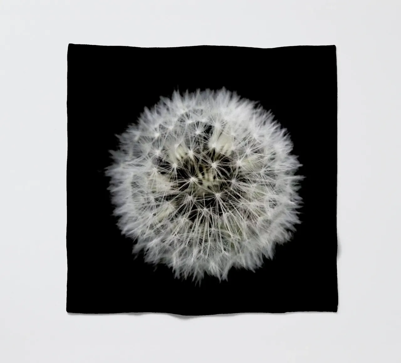 Black and White Dandelion coperta in pile da Studio Nahili