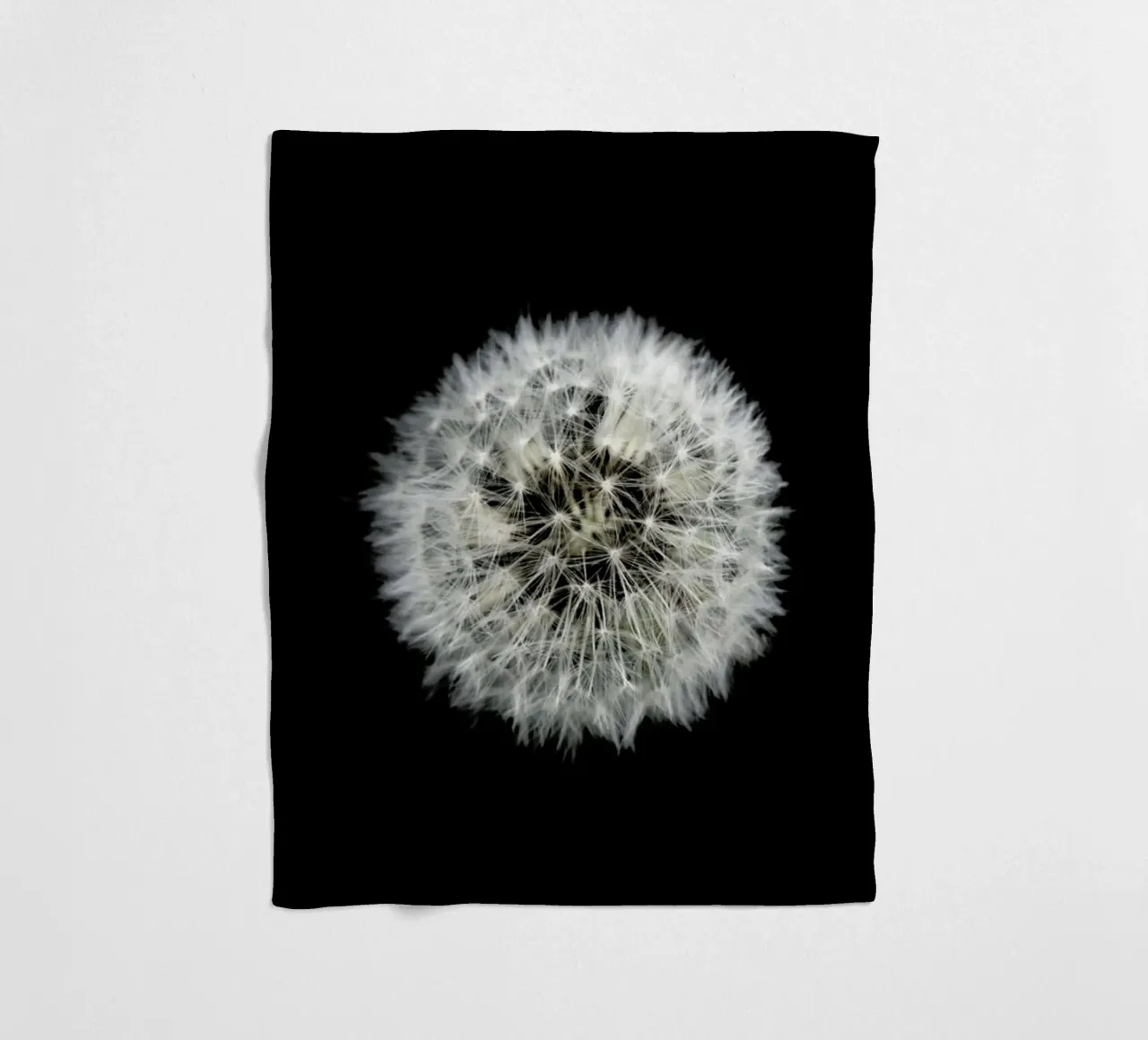 Black and White Dandelion coperta in pile da Studio Nahili