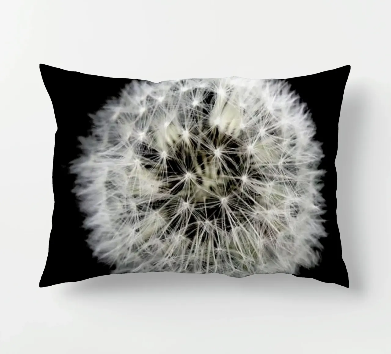 Black and White Dandelion cuscino da Studio Nahili