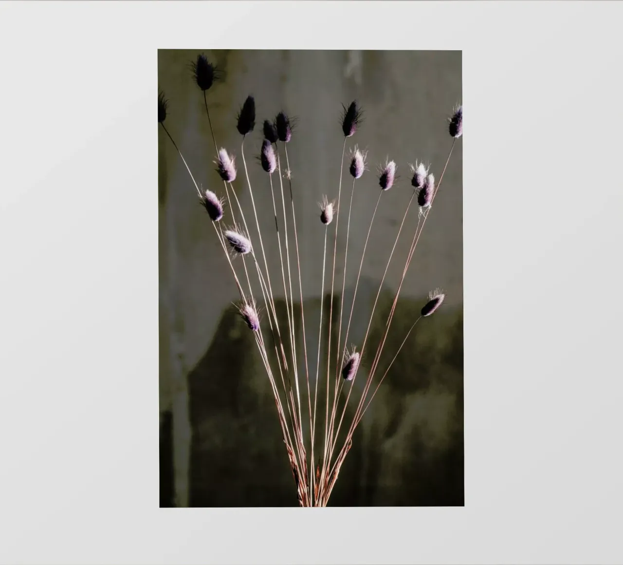 Minimal Bouquet Details pellicola backlit da Sebastian Hilgetag
