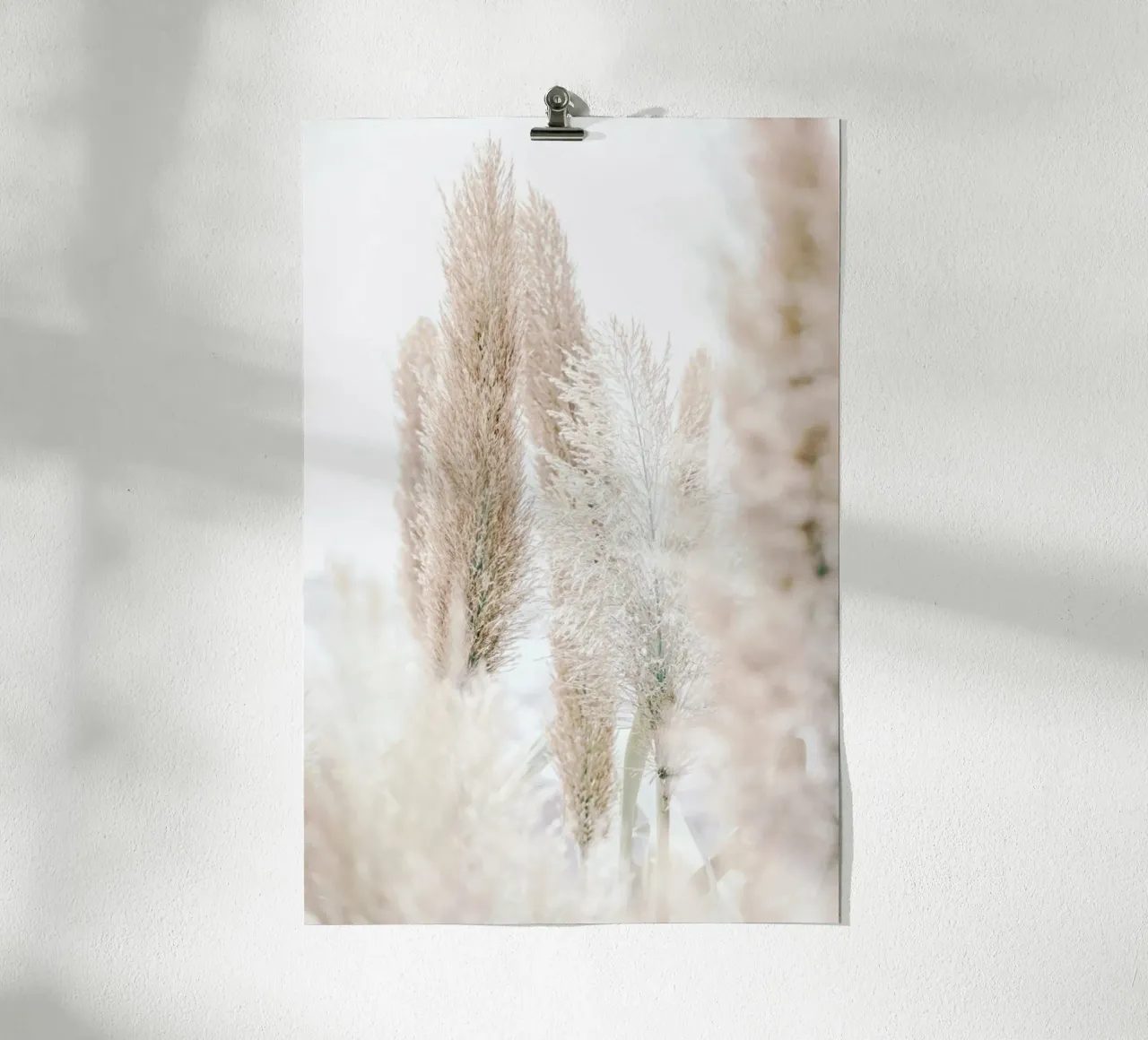 Pampas Reed Madeira 1 poster con telaio in legno da Monika Strigel