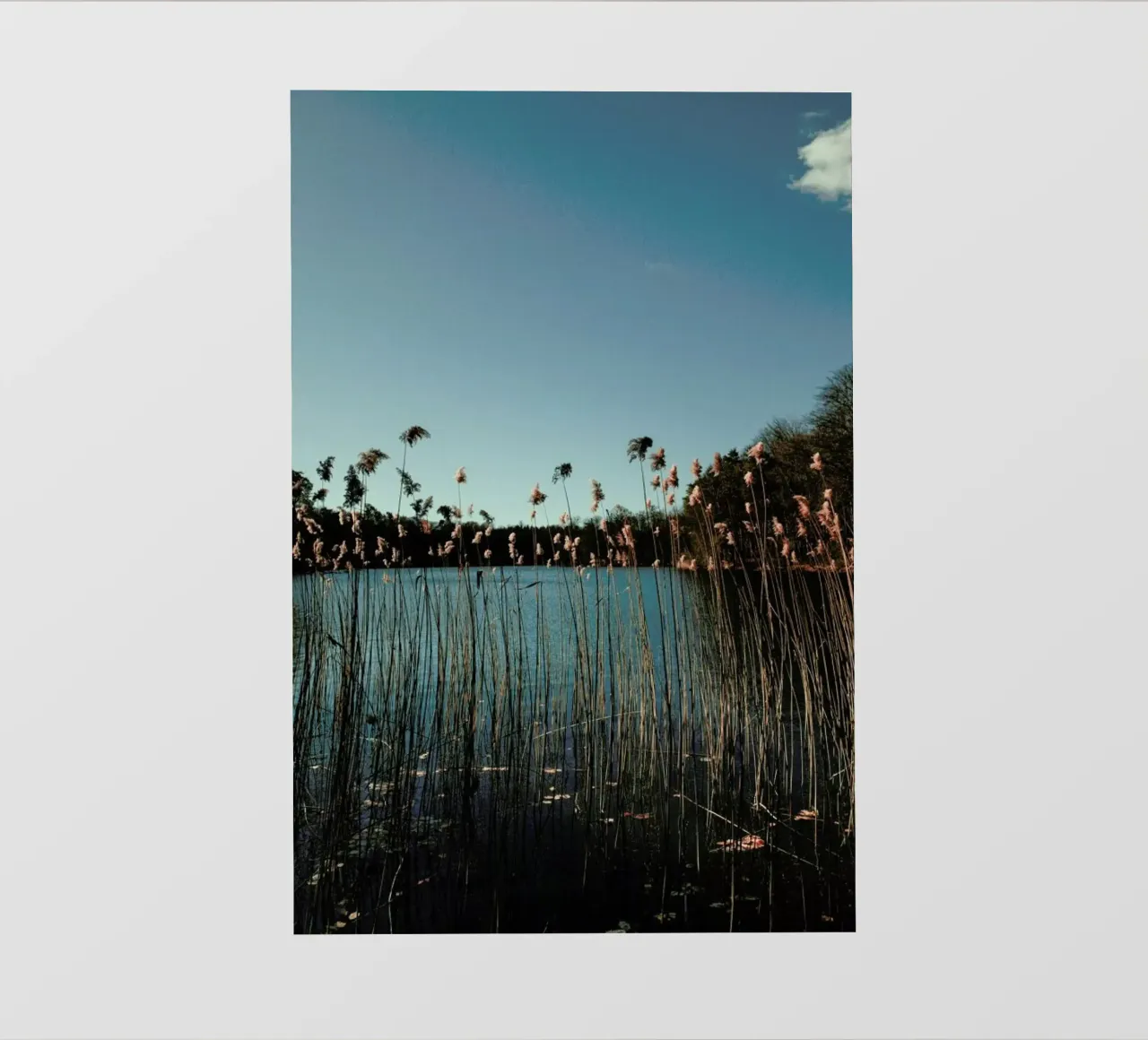 Nature — Grass In A Lake telo in pvc da Sebastian Hilgetag