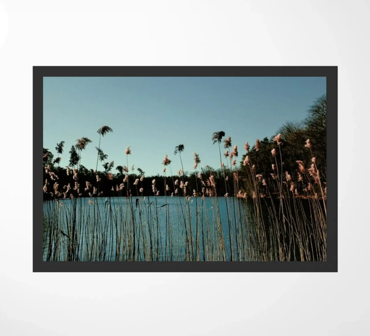 Nature — Grass In A Lake zerbino da Sebastian Hilgetag