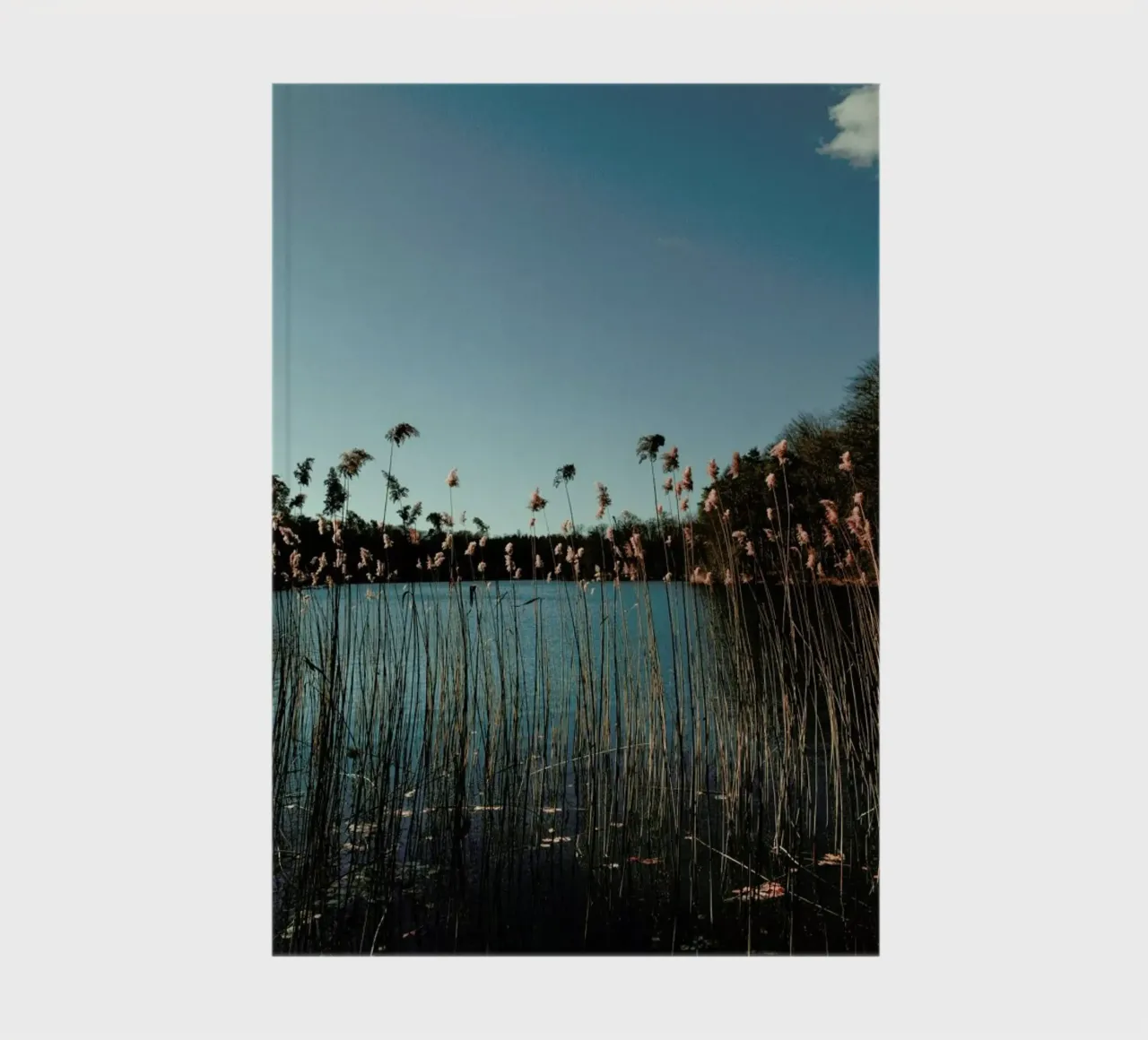 Nature — Grass In A Lake notebook by Sebastian Hilgetag