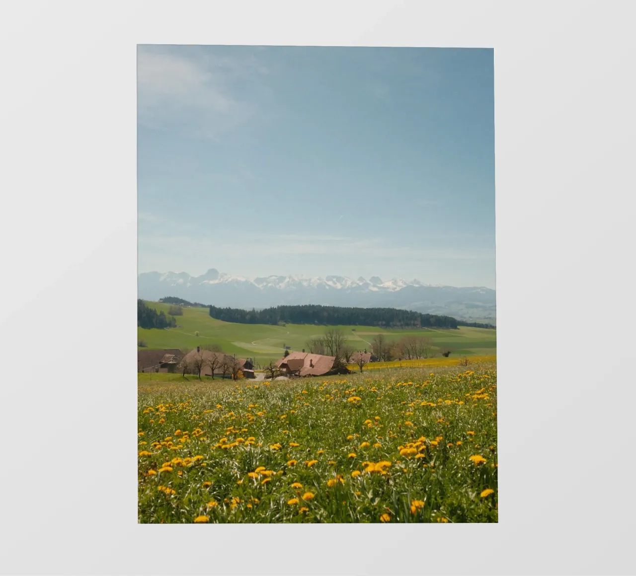 Spring Blossoms and Alpine Dreams pellicola backlit da FujiSwiss