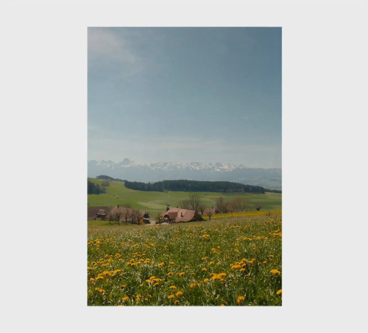 Spring Blossoms and Alpine Dreams notebook by FujiSwiss