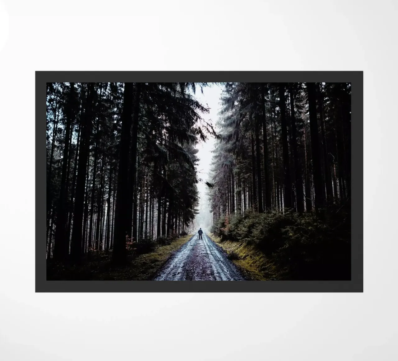 Smell The Cedar @JohannesHulsch zerbino da EyeEm Mobile GmbH